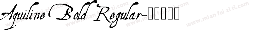 Aquiline Bold Regular字体转换